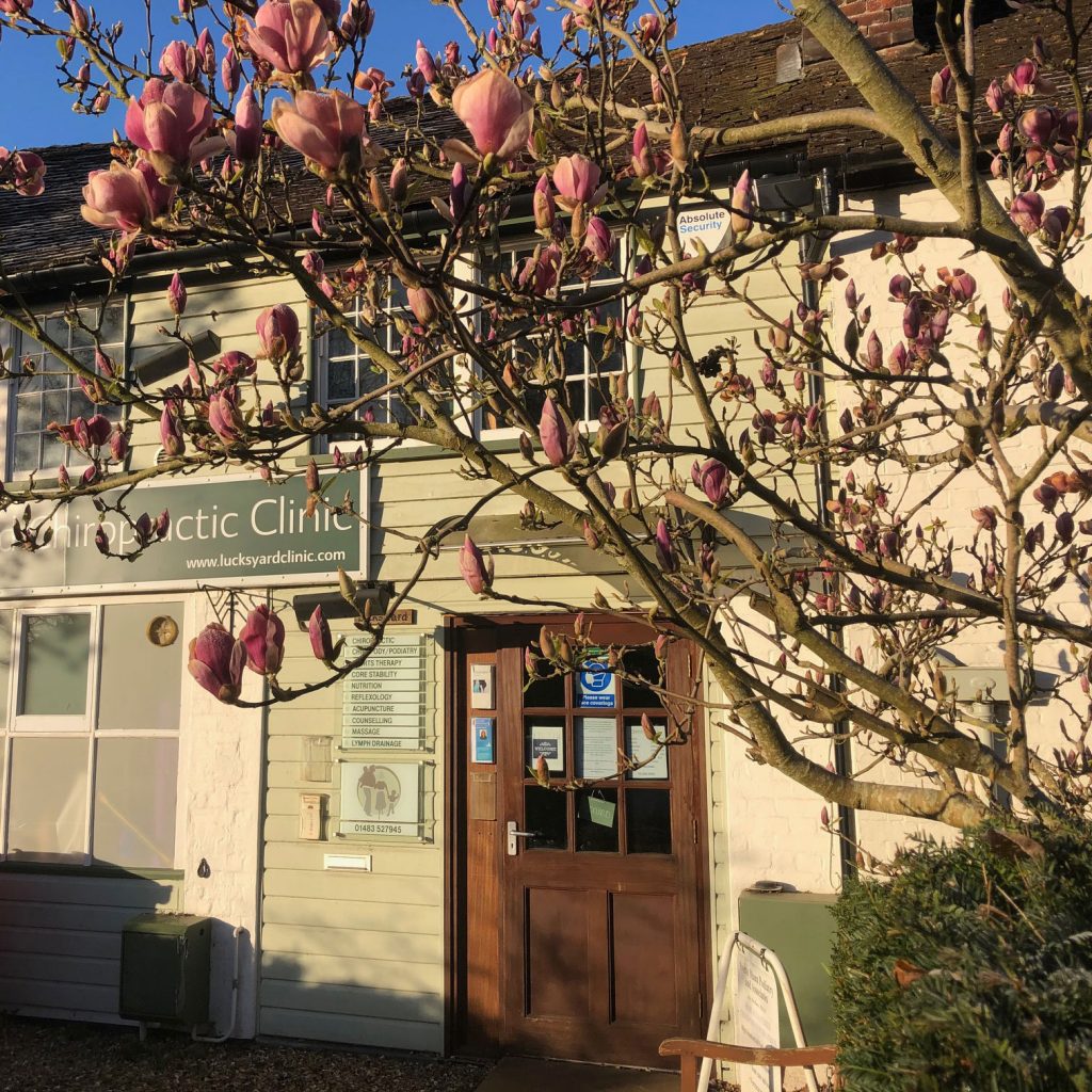 Lucks Yard Chiropractors, Godalming, Surrey