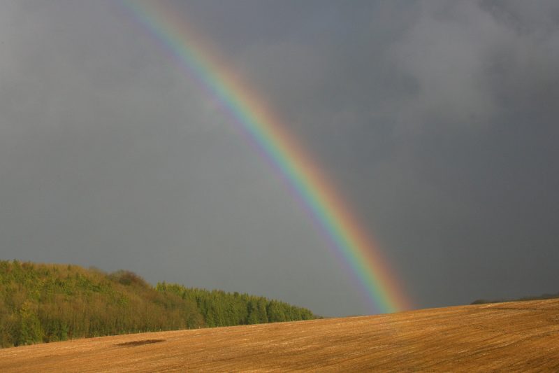 Lucks Yard Clinic, Near Eashing, Surrey - Cognitive Hypnotherapy