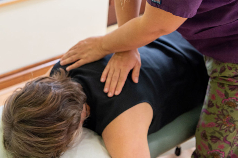 Lucks Yard Clinic, Near Shalford, Surrey - Chiropractic